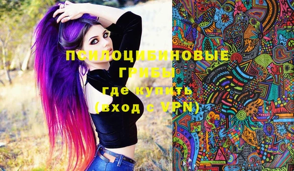стаф Абинск