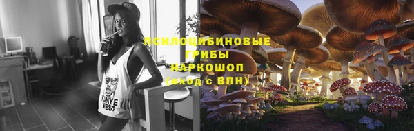 хмурый Алзамай