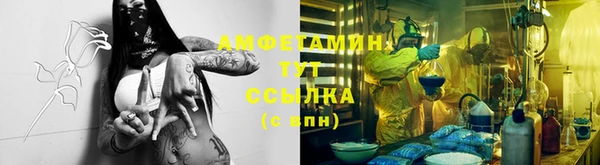 стаф Абинск