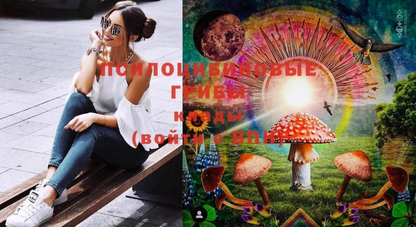 хмурый Алзамай