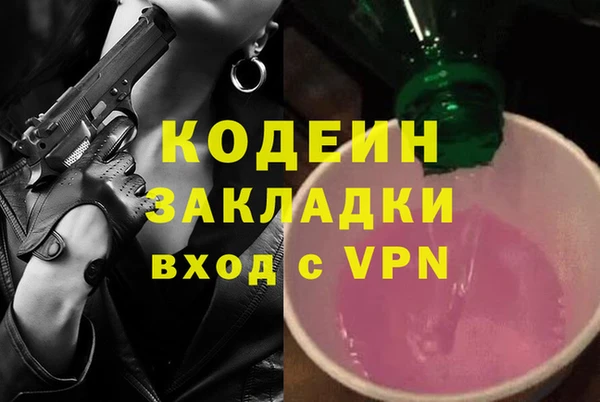 хмурый Алзамай