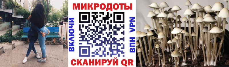 наркошоп  Карасук  МЕГА рабочий сайт  Галлюциногенные грибы Psilocybe 